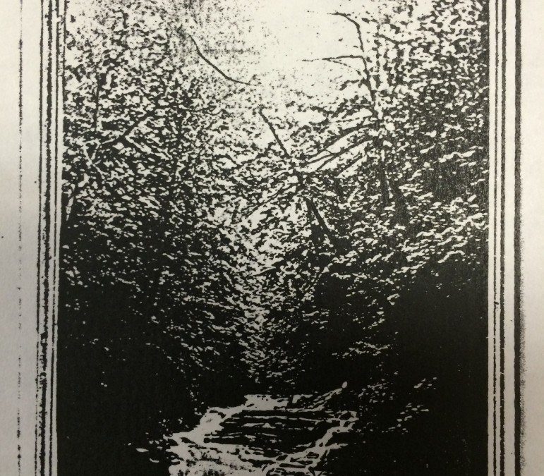 Cayuga
